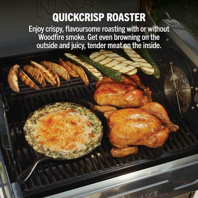 Ninja FlexFlame Gas BBQ & Outdoor Cooking System